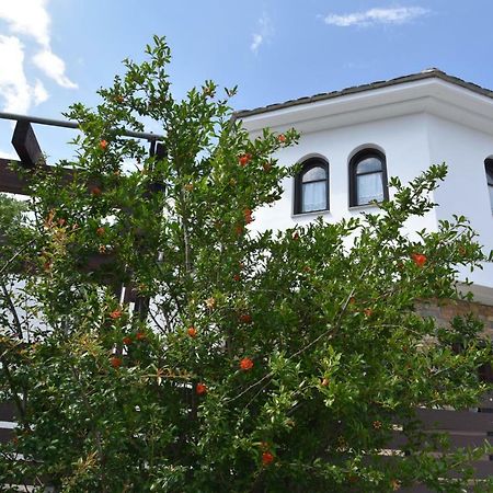 Karpofora Traditional Guesthouse Милея Экстерьер фото